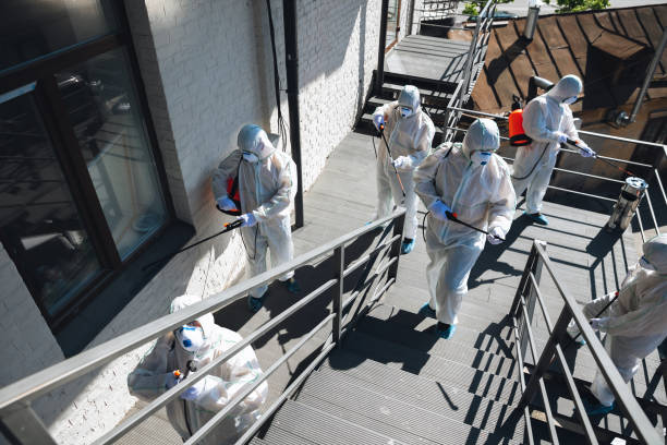 Best Industrial Mold Remediation  in Gibsonton, FL