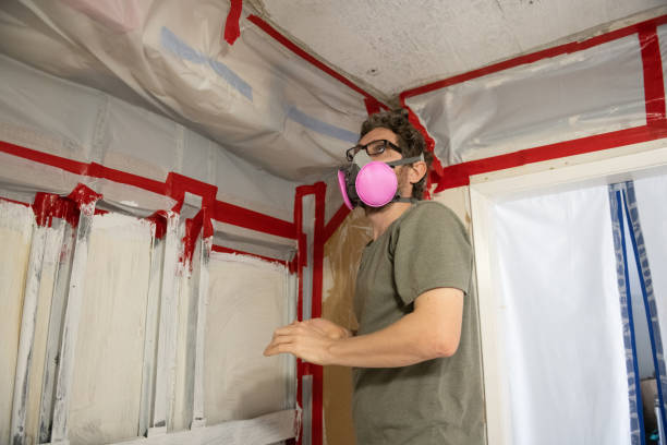 Trusted Gibsonton, FL Mold Removal Experts