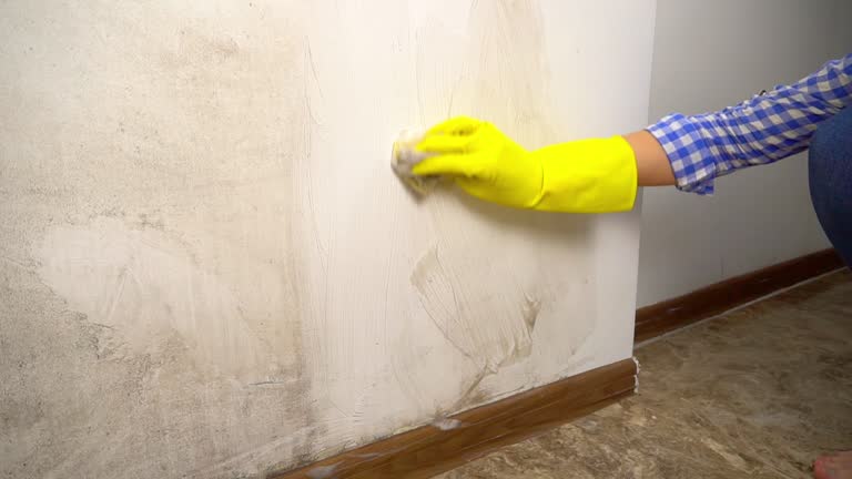 Mold Removal for HVAC Installations in Gibsonton, FL